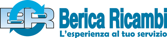 logo Berica Ricembi
